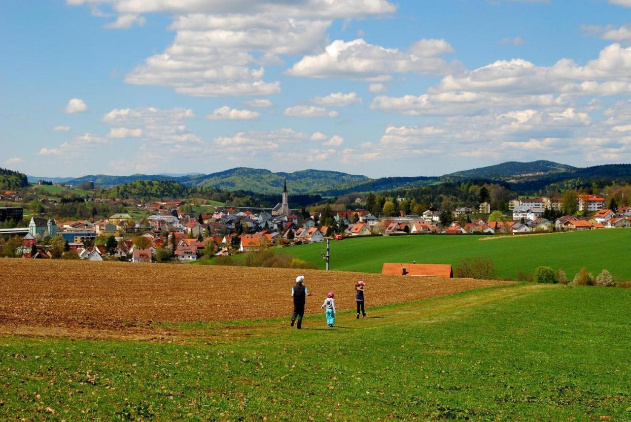 Ferienwohnung Geyersberg Inklusive Aktivcard Bayerischer Wald Freyung Eksteriør billede